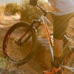 mountainbike verhuur sanders tweewielers